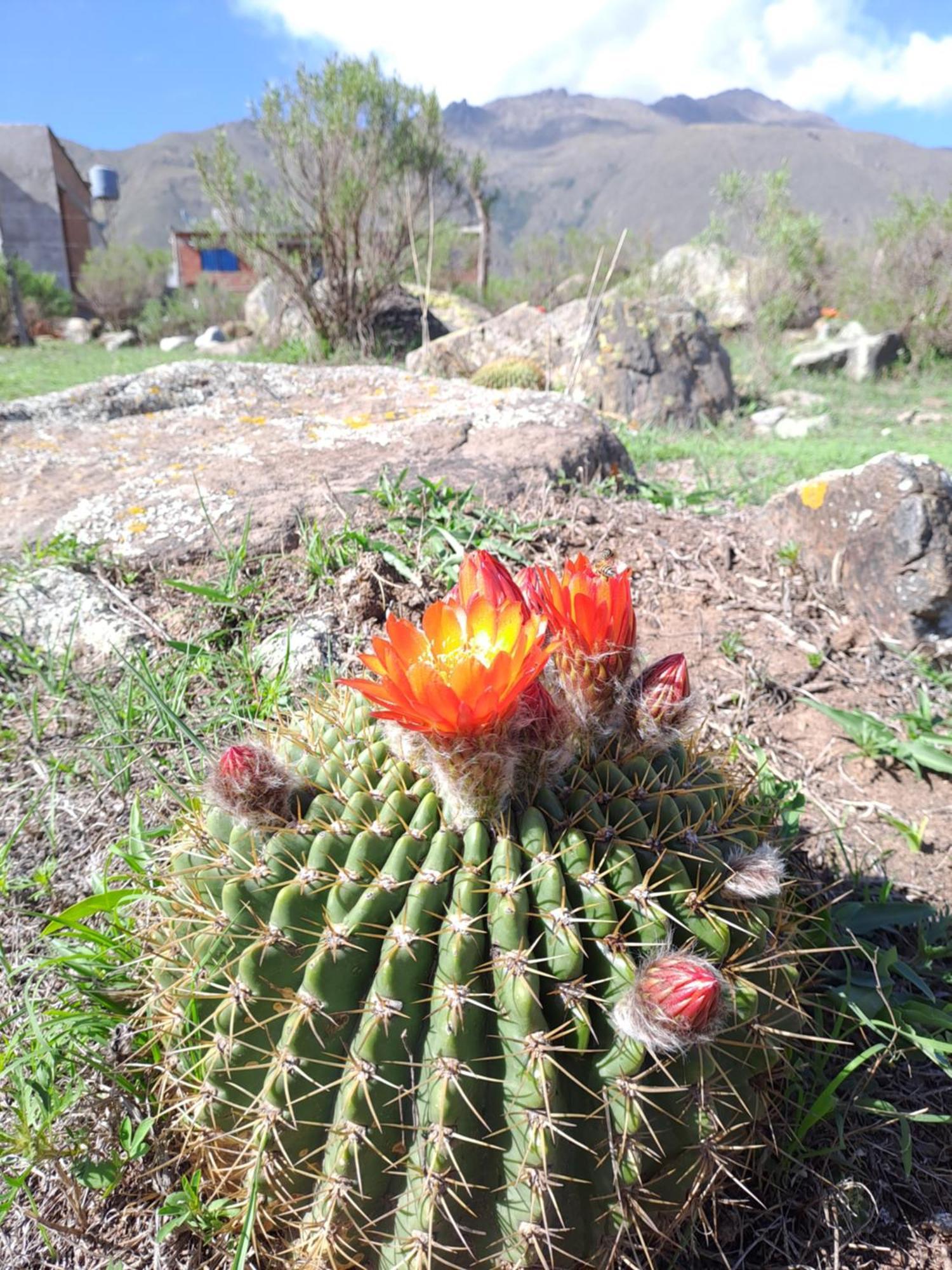 Nunorco Holiday home El Mollar (Tucuman)